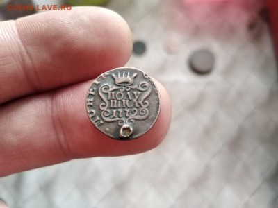 Полушка сибирь 1779 до 25.12.2020 - 1779 (5) - копия