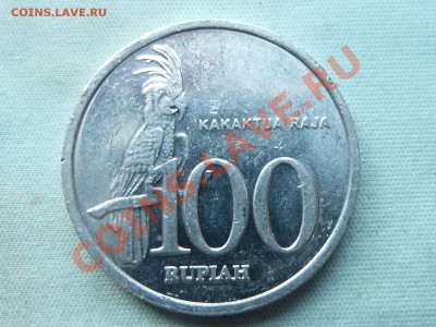 С РУБЛЯ ИНДОНЕЗИЯ 100рупий ПОПУГАЙ до 5.10.11 в 22-00 - MEMO0007.JPG