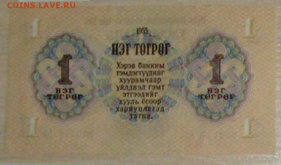 1 тугрик 1955 г., Монголия - IMG_5485.JPG