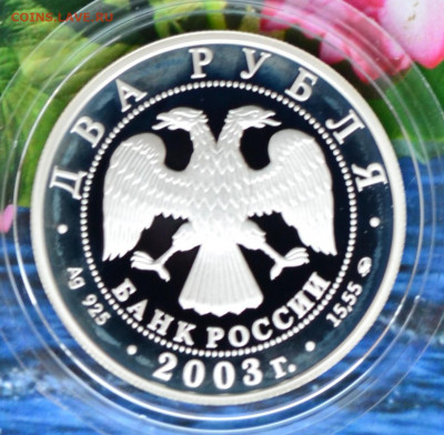 2 рубля Близнецы - DSC_0310.JPG
