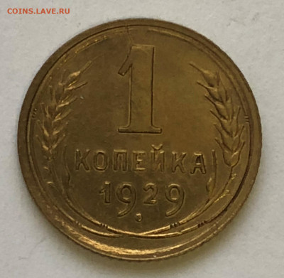 1 коп 1929 Отличная до 26.12.2020 Суббота - IMG_5376.JPG