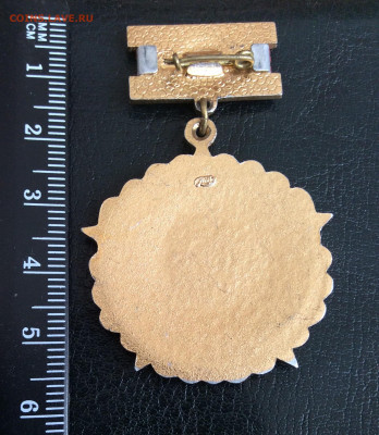 Знак отличник гражданской обороны СССР. Лмд - IMG_2883.JPG