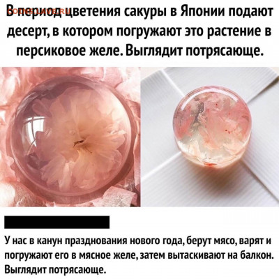 юмор - v5PEKskZUvg