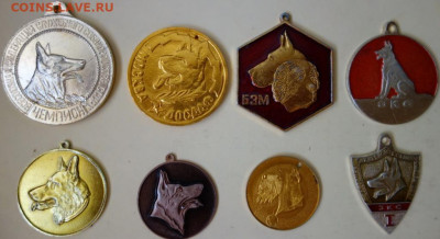 Медали собачьих выставок, 8 штук до 27-12-2020 - medali_sobachikh_vystavok_8_shtuk