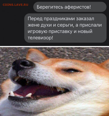 юмор - 6jvhoCNgQPY
