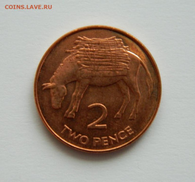 О. св. Елены и Вознесения 2 пенса 2003 г.(Фауна) до 31.12.20 - DSCN4524.JPG