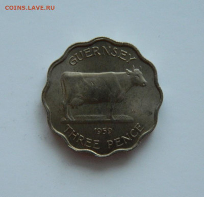 Гернси 3 пенса 1959 г.(Фауна). до 31.12.20 - DSCN4684.JPG
