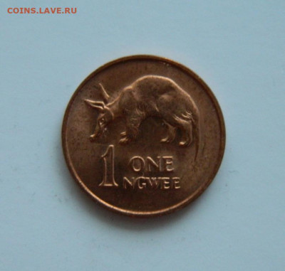 Замбия 1 нгве 1983 г. (Фауна)без обращения. до 31.12.20 - DSCN4680.JPG