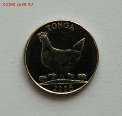 Тонга 5 сенити 2005 г.(Фауна) до 31.12.20 - DSCN4640.JPG