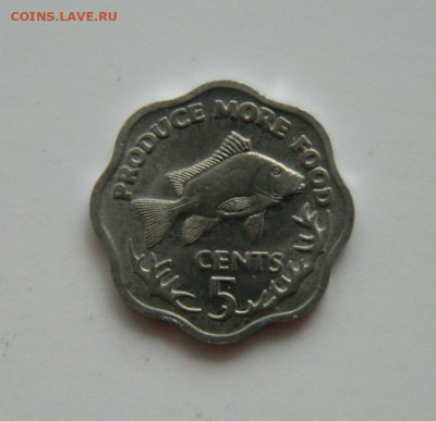Сейшелы 5 центов 1977 г. (Юбилейная) Фауна до 31.12.20 - DSCN4769.JPG