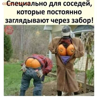 юмор - Безымянный