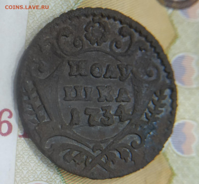 Денга и полушка - IMG_20201227_145249