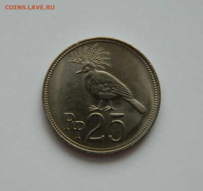 Индонезия 25 рупий 1971 г. (Фауна) до 31.12.20 - DSCN4776.JPG