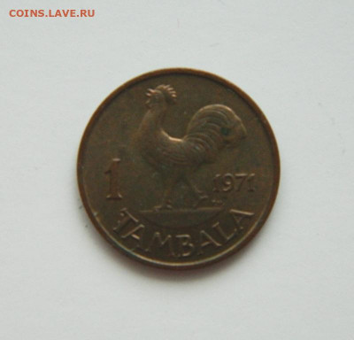 Малави 1 тамбала 1971 г. (Фауна) без обращения  до 31.12.20 - DSCN4788.JPG
