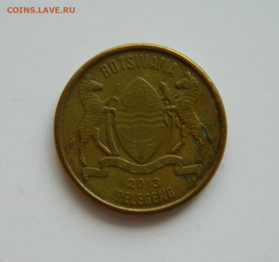 Ботсвана 1 пула 2013 г. (Фауна) до 31.12.20 - DSCN4826.JPG