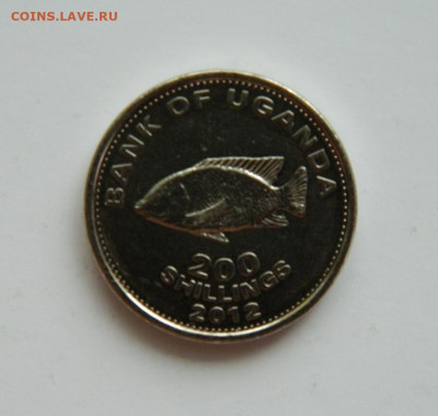 Уганда 200 шиллингов 2012 г. (Фауна). до 31.12.20 - DSCN4831.JPG