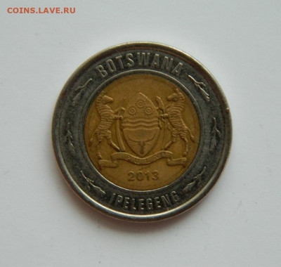 Ботсвана 2 пула 2013 г. (Фауна) до 31.12.20 - DSCN4810.JPG