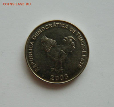 Восточный Тимор 10 сентаво 2003 г. (Фауна) до 31.12.20 - DSCN4843.JPG
