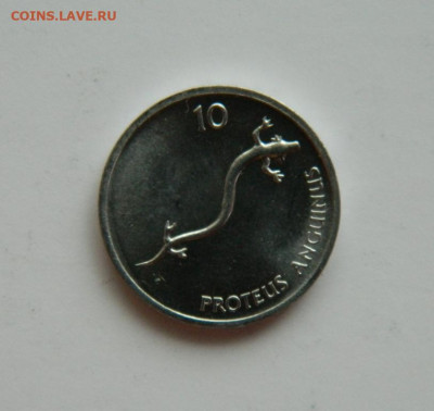 Словения 10 стотинов 1993 г. (Ящерица) до 31.12.20 - DSCN4836.JPG