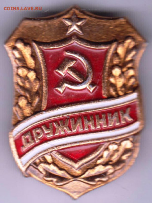 Знак "ДРУЖИННИК" до 05.01.21 г. в 23.00 - 002