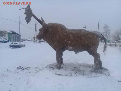 Скульптуры из балбаха и прочее! Балбах - навоз як. - Бык профиль