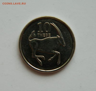 Ботсвана 10 тхебе 2013 г. (Фауна). до 31.12.20 - DSCN4853.JPG