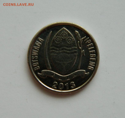 Ботсвана 10 тхебе 2013 г. (Фауна). до 31.12.20 - DSCN4854.JPG