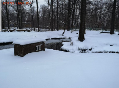 ФОТО - просто фото. Те что получились удачными. - Screenshot_20201231-125704_Gallery