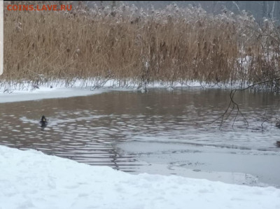 ФОТО - просто фото. Те что получились удачными. - Screenshot_20201231-125611_Gallery