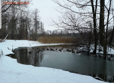 ФОТО - просто фото. Те что получились удачными. - Screenshot_20201231-125545_Gallery