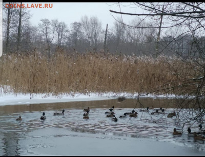 ФОТО - просто фото. Те что получились удачными. - Screenshot_20201231-125534_Gallery