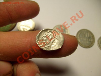 Подскажите по чешуе. - S7301136.JPG