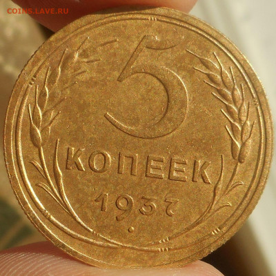 5 копеек 1937 г. - DSCN3142 (2).JPG
