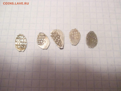 Чешуя . 5 штуки . - IMG_0310.JPG