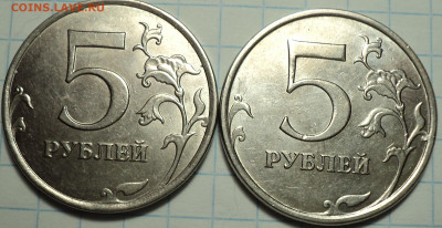 РАЗНОВИДНОСТИ  от  СЛФ - DSC00043.JPG