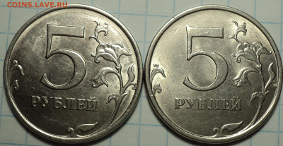 РАЗНОВИДНОСТИ  от  СЛФ - DSC00038.JPG
