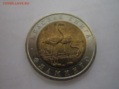 КК ФЛАМИНГО 50 руб 1994 до 11.01.21 в 22:30 - IMG_3425.JPG