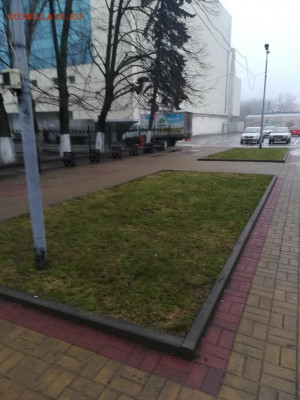 Поздравления с Рождеством! - IMG_20210108_083532
