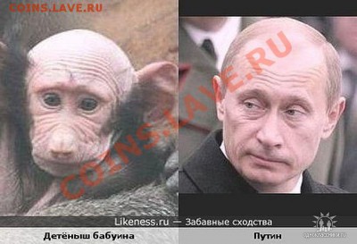 А ВЫБОРЫ УЖЕ ПРОШЛИ??? - getImage (2)