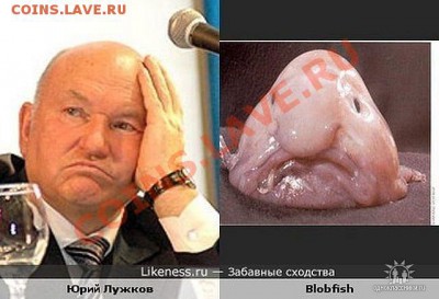 А ВЫБОРЫ УЖЕ ПРОШЛИ??? - getImage (3)