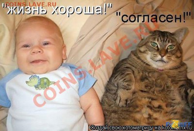 А ВЫБОРЫ УЖЕ ПРОШЛИ??? - getImage (45)