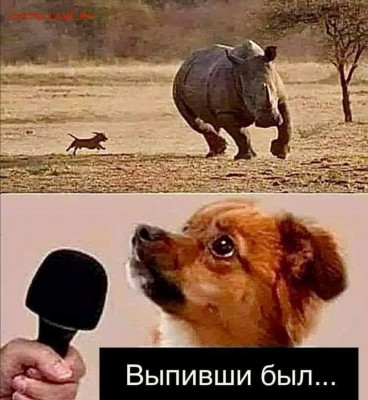 юмор - вапивши