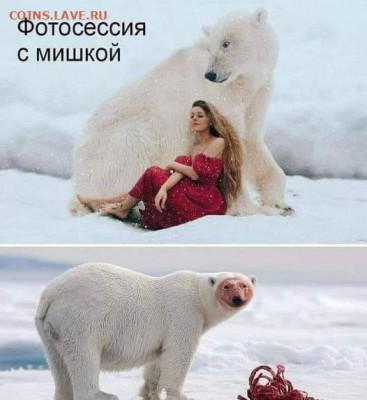 юмор - Фотосессия