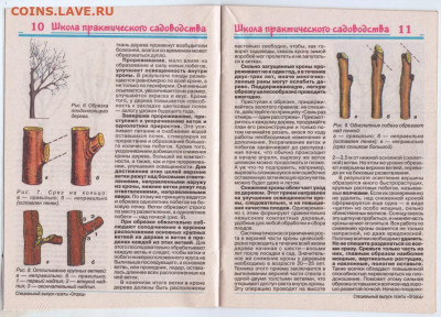 САД ВЕСНОЙ (обрезка, прививка,..до 17.01.21 г. в 23.00 - 010