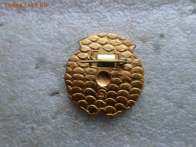 Отличнику Здравоохранения РФ Мосштамп - SAM_6480.JPG