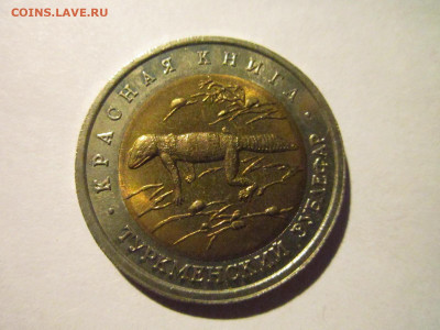 КК ЗУБЛЕФАР 50 руб 1993 до 11.01.21 в 22:30 - IMG_3460.JPG