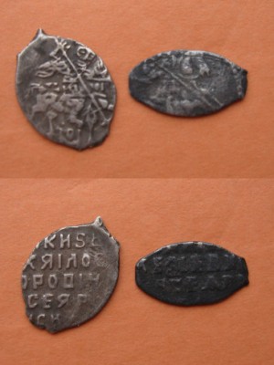 Помогите определить чешуйки - cheshuika-2items