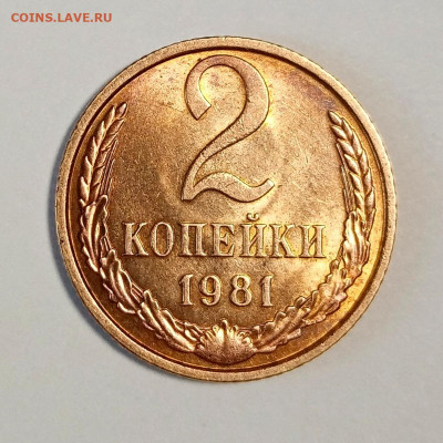 2 копейки 1981, 1982. Яркий Штемпельный блеск. Оценка. - IMG_20210112_110041