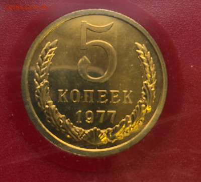 Набор ГБ 1977 до 14.01.21 Четверг - IMG_5576.JPG