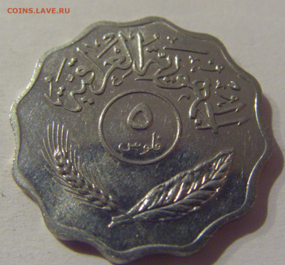 5 филс 1981 Ирак №1 19.01.2021 22:00 М - CIMG6488.JPG
